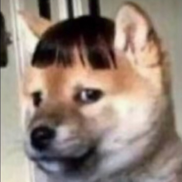 Meet your Posher, Scarlet - Picture 1 of 1